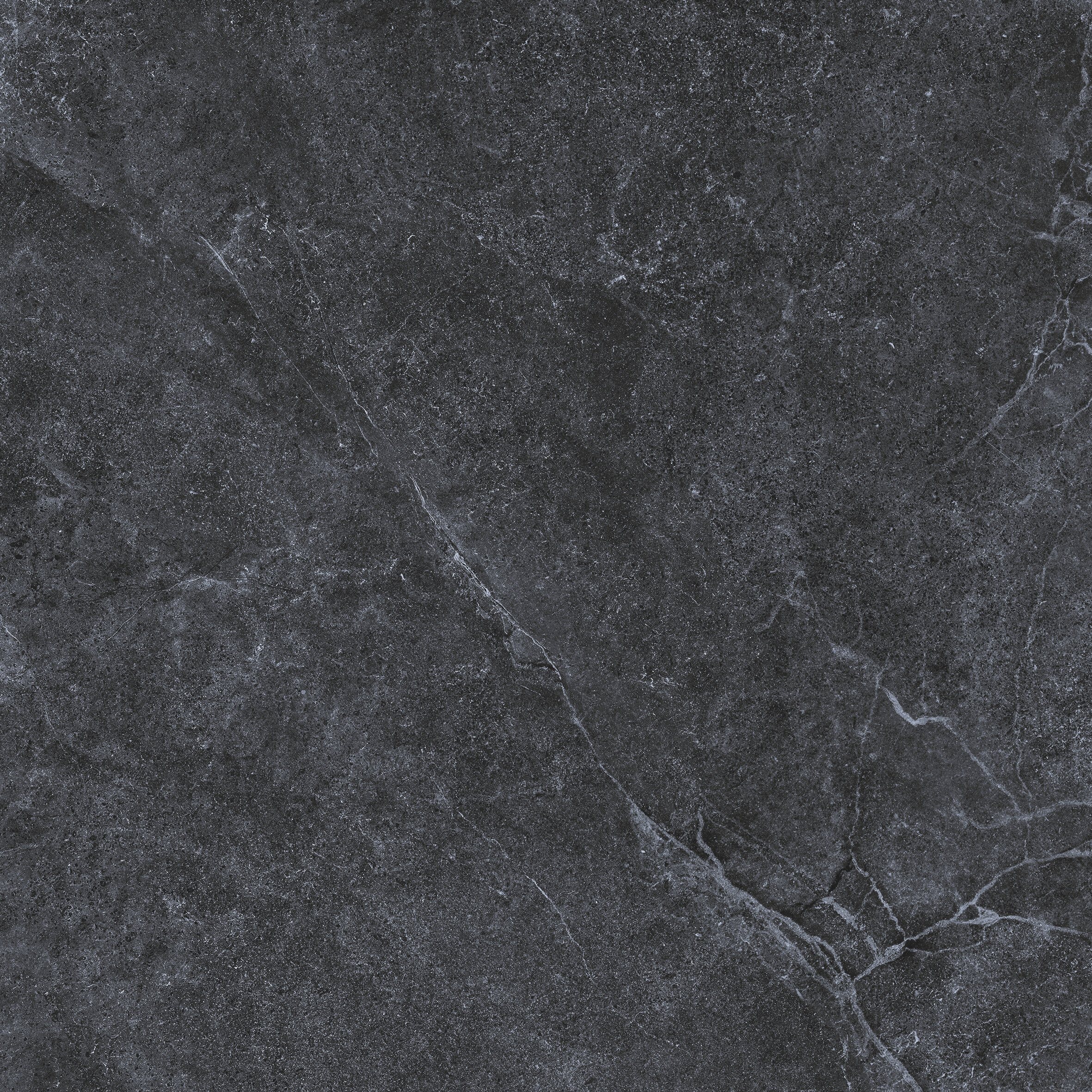 Enzo Coal - Close Up