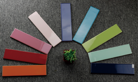 Petti Bella - Lifestyle 1